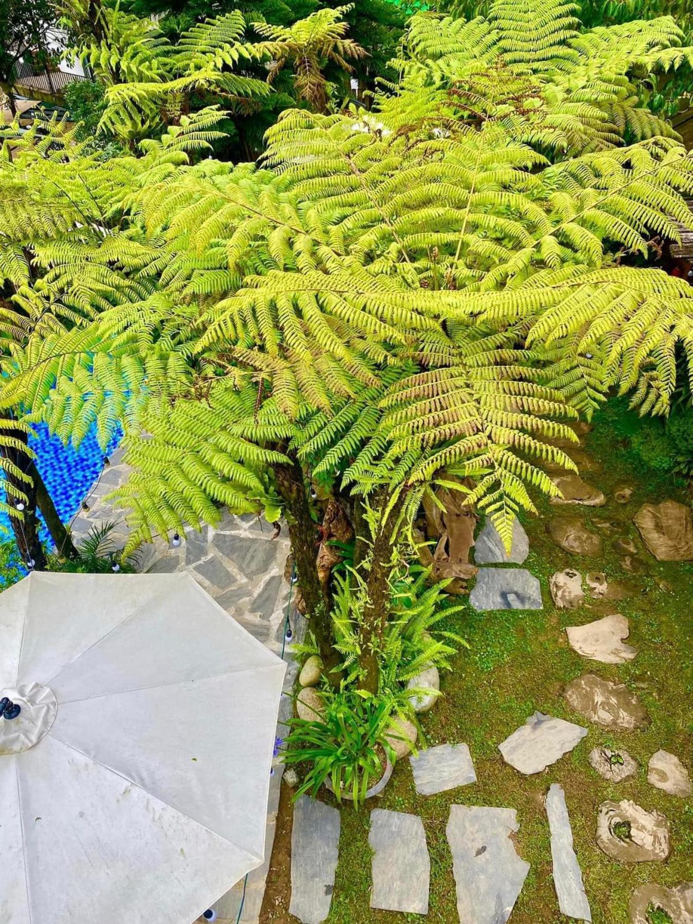 Love House Homestay Sapa Esterno foto